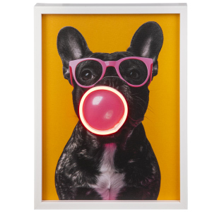 LED Canvasbild - Fashion Dog