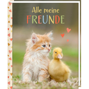 Alle meine Freunde 