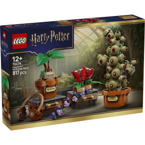 LEGO® Harry Potter™ 76474 - Schloss Hogwarts: Kräuterkundepflanzen