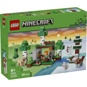 LEGO® Minecraft™ 21593 - Erstes Abenteuer in der Nacht