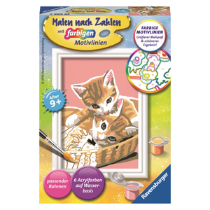 Malen nach Zahlen - Katzenbabys - Classic Serie F