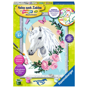 Malen nach Zahlen - Einhorntraum