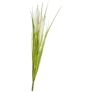 Palmgrasbüschel - 70 cm