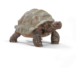 schleich® - WILD LIFE - Riesenschildkröte - 14824