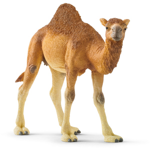 Schleich Wild Life - Dromedar - 14832