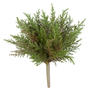 Koniferenbüschel - 26 cm