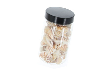 Streudeko - Muscheln - creme/braun - ca. 200 g
