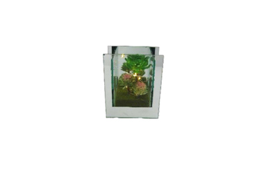 Vase mit Dekoration - aus Glas - 12x7,5x15 cm