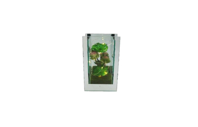 Vase mit Dekoration - aus Glas - 12x7,5x20 cm