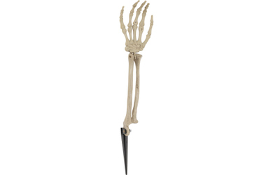 Skelett-Arm - ca. 37 x 9 x 5 cm  