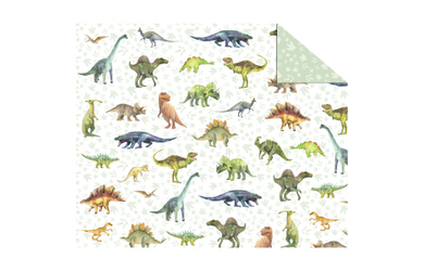 Fotokarton - Dinosaurier