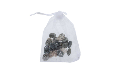 Streudeko Muscheln blau/creme - ca. 2,5 cm - 30 Stück