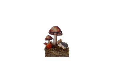 Pilze auf Baumstamm - ca. 10 x 5,5 x 11 cm