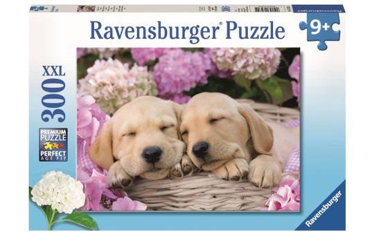 Puzzle - Süße Hunde im Körbchen - 300 XXL Teile - Ravensburger 