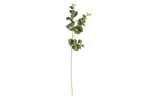 Eukalyptuszweig - ca. 64 cm 