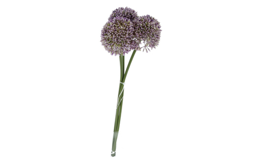 Allium - ca. 46 cm 