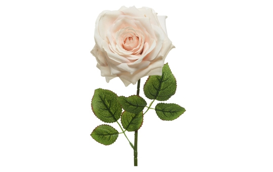 Rose - ca. 53 cm 
