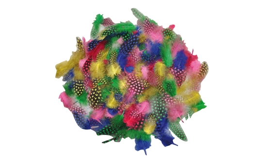 Perlhuhnfedern - 100 Stück - verschiedene Farben 