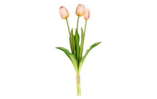 Tulpenbündel - ca. 39 cm - weiß/rosa 