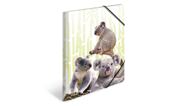 Sammelmappe DIN A4 - Koalafamilie 
