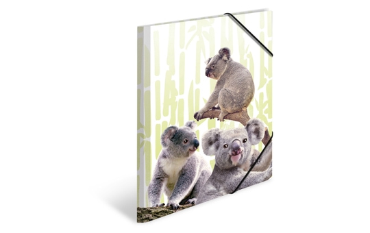 Sammelmappe DIN A3 - Koalafamilie 