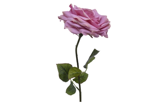 Rose - ca. 53 cm 