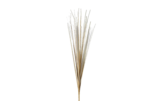 Isolepsis Gras - ca. 70 cm - Trocken-Optik