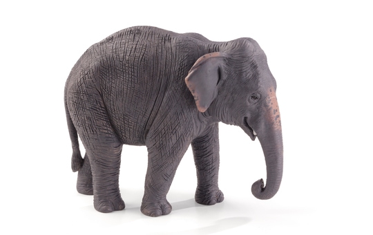 Besttoy Wildlife - asiatischer Elefant - Spielfigur 387266  