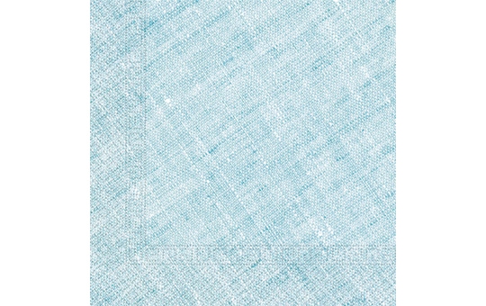 20 Servietten - blau - ca. 33 x 33 cm  