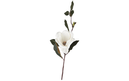 Magnolienzweig - 35 cm - creme 