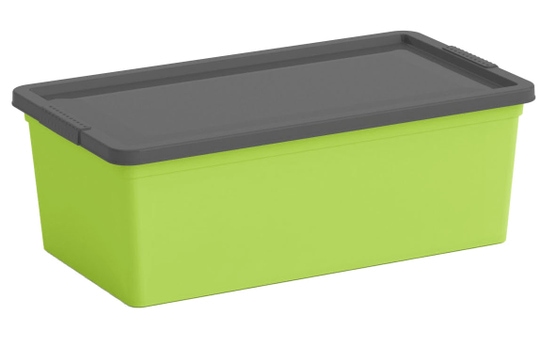 Ordnungsbox mit Deckel - grün/grau - XS 