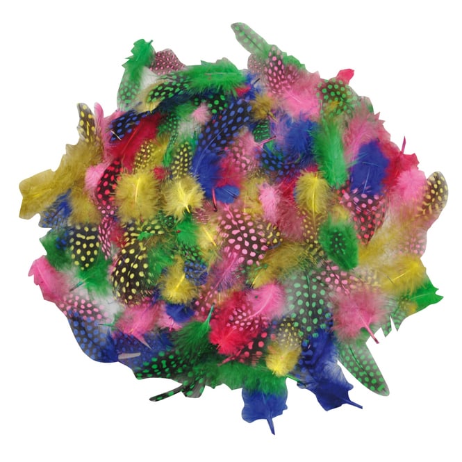 Perlhuhnfedern - 100 Stück - verschiedene Farben 