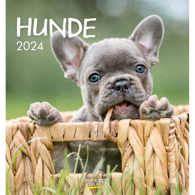 Postkartenkalender Hunde 2024