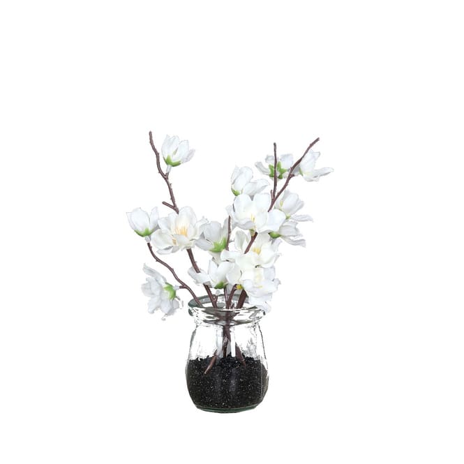 Kirschblüten im Glas - cream