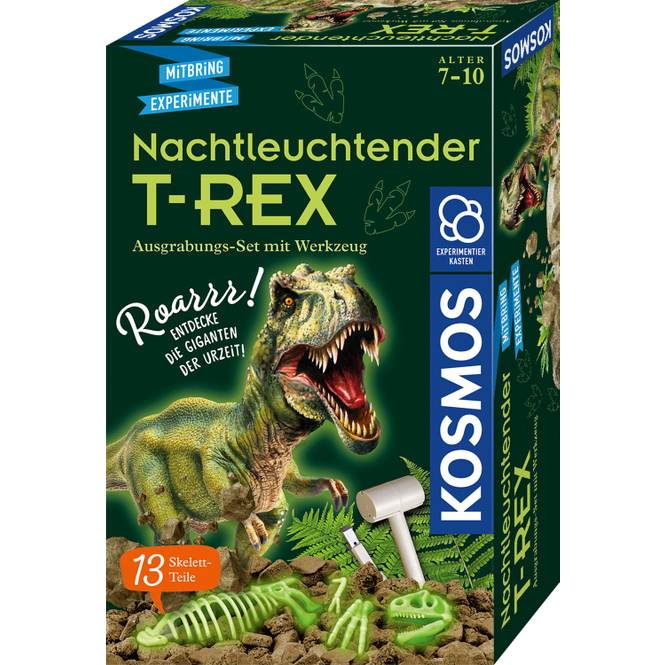 Nachtleuchtender T-REX - Mitbring-Experimente
