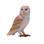Besttoy - Schleiereule - sitzend - Spielfigur - Bild 1