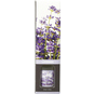 Raumduft Lavendel - 100 ml - Bild 1