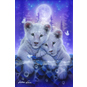 Crystal Art - Kristallbild - Weiße Löwenkinder - Bild 1
