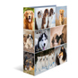 Ordner DIN A4 - Herma - Hunde - Bild 1
