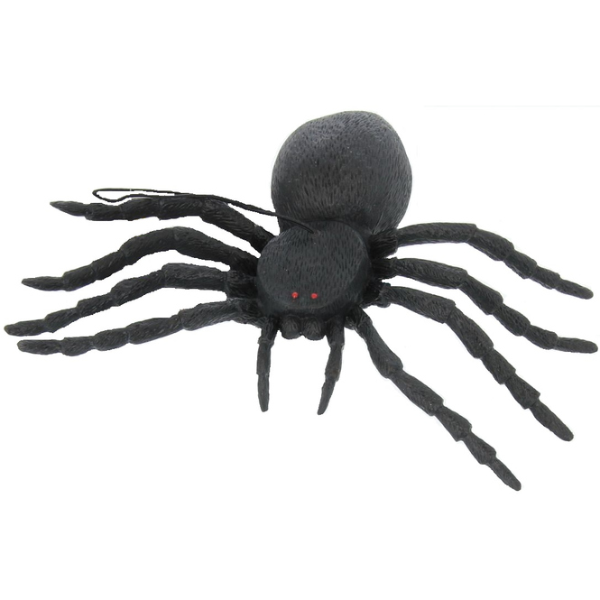 Spinne - 16 cm