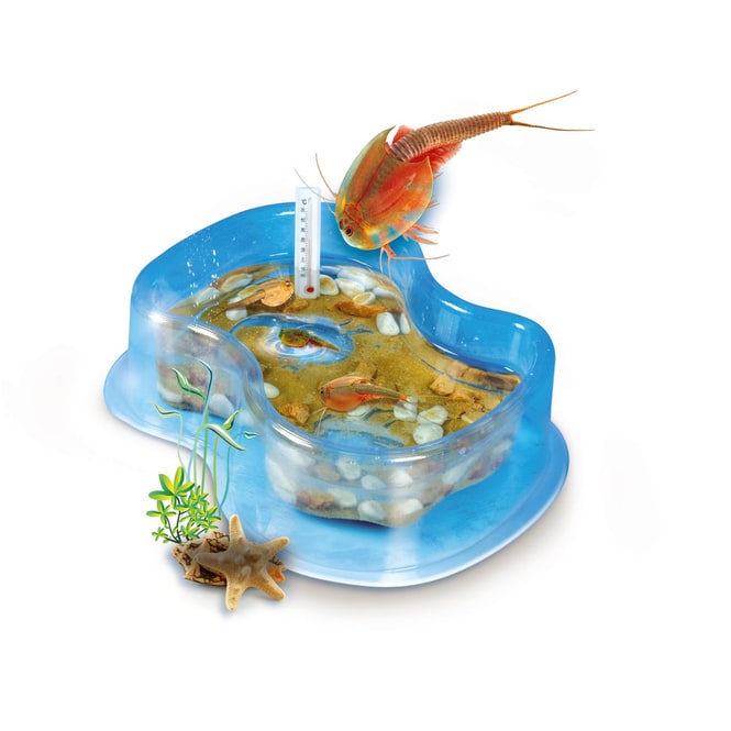 Galileo - Original Triops Starter-Set