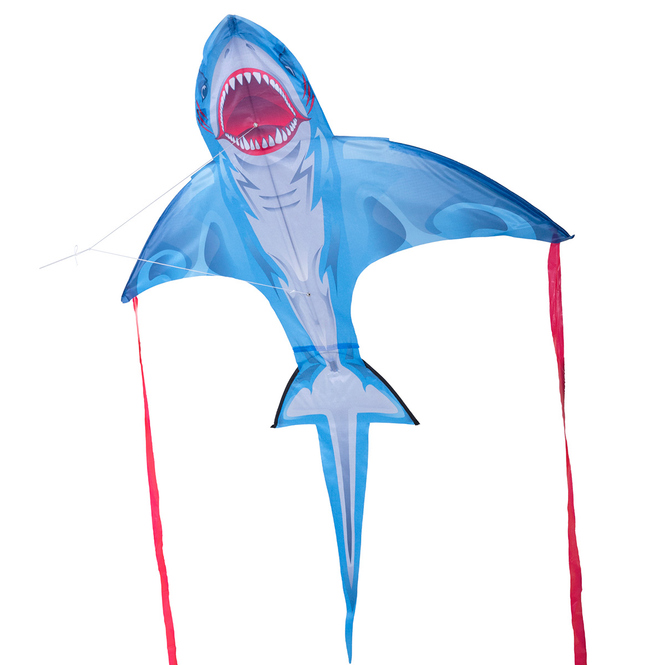 3D Pop-up Drache - Hai