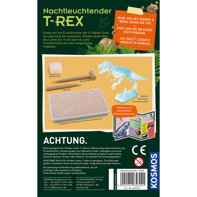 Nachtleuchtender T-REX - Mitbring-Experimente