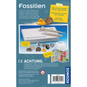 Fossilien - Ausgrabungs-Set - Mitbring-Experimente - Bild 2