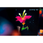 PuzzLegend - Merlin - Bild 2