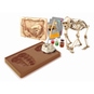 Galileo LAB - Entdeckungs-Set - Tiere auf unserer Erde - Bild 2
