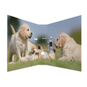 Ordner DIN A4 - Herma - Hunde - Bild 2
