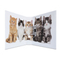 Ordner DIN A4 - Herma -  Katzen - Bild 2