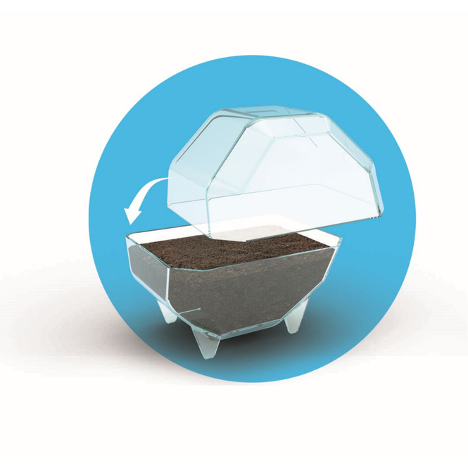 Science & play - Mini Terrarium - Löwe