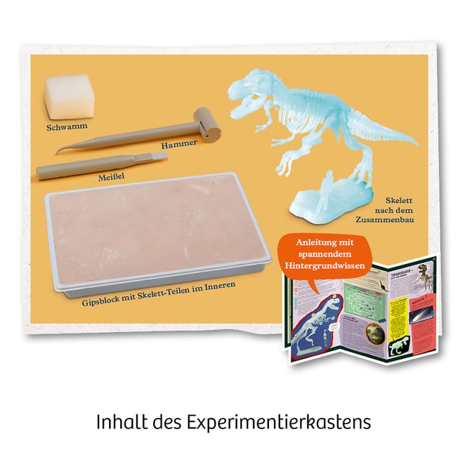 Nachtleuchtender T-REX - Mitbring-Experimente